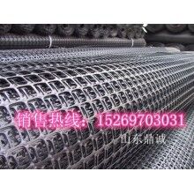 山東鼎誠廠家直銷錨桿巷道支護材料玻纖土工格柵