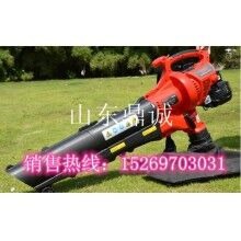 城市道路清潔設(shè)備手提落葉吹吸機(jī)特價(jià)批發(fā)