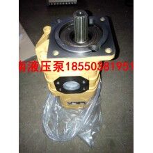 山東龍工機(jī)械專用液壓齒輪泵CBGJ3100/1010液壓泵廠家價(jià)格