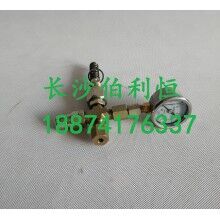 批發(fā)原裝正品攪拌機(jī)配件，三一JX3000潤(rùn)滑油泵芯